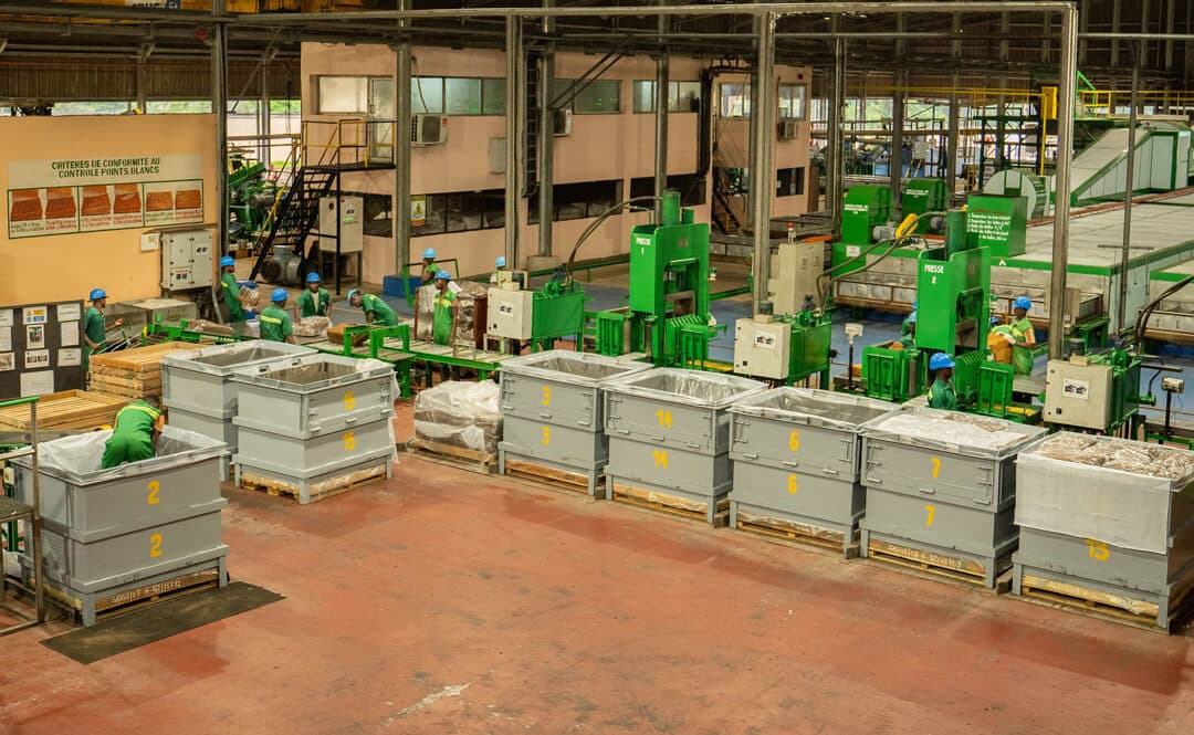 Caoutchouc usiné : le Gabon vise une production de 2 500 tonnes en 2026